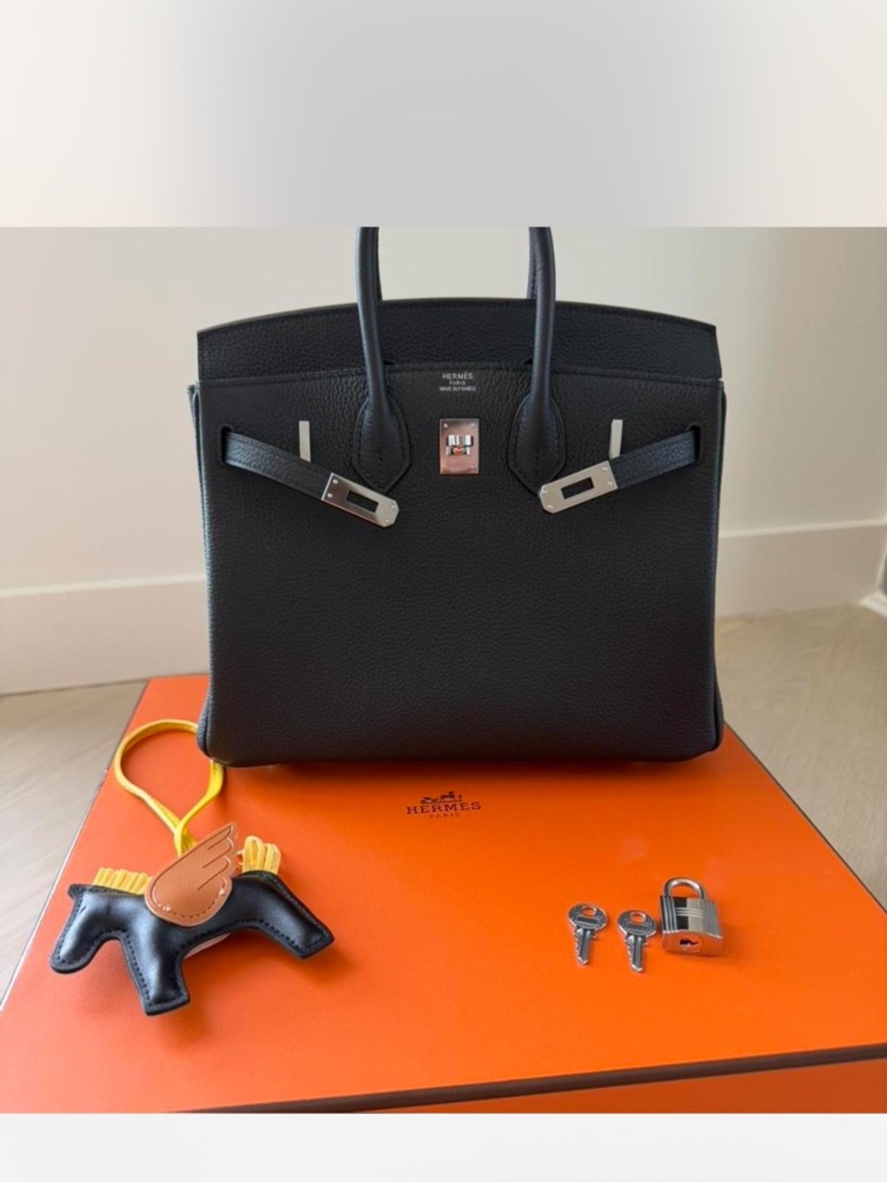 Hermes birkin all inclusive 25 RARE